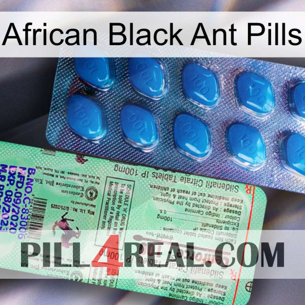 African Black Ant Pills new02.jpg